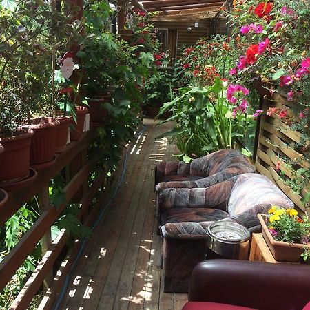 Hostal Mi Segundo Hogar Concepcion Bagian luar foto