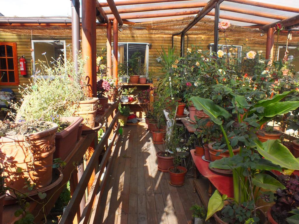 Hostal Mi Segundo Hogar Concepcion Bagian luar foto